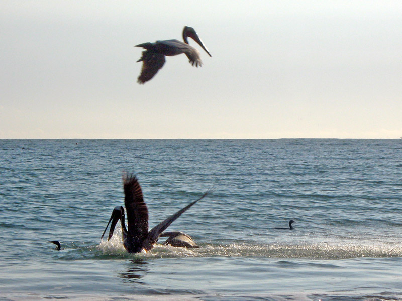 slideshow